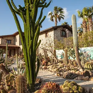 Landhuis Garden Cactus, Villaggio Mosè